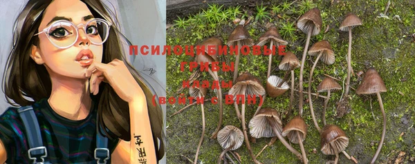 твердый Михайловск
