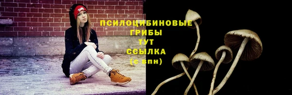 прущий лед Арсеньев
