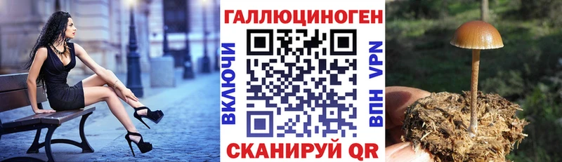 Галлюциногенные грибы ЛСД  Купить где  Макарьев 